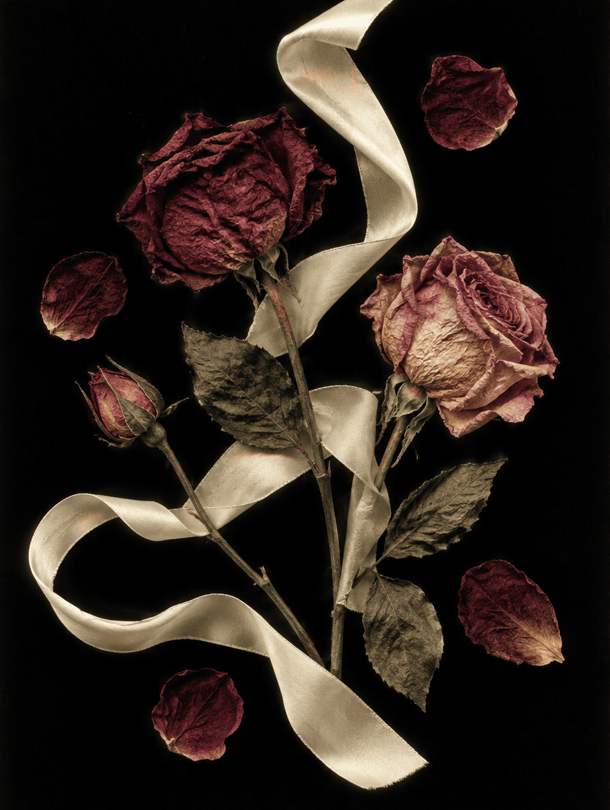 Pressed roses